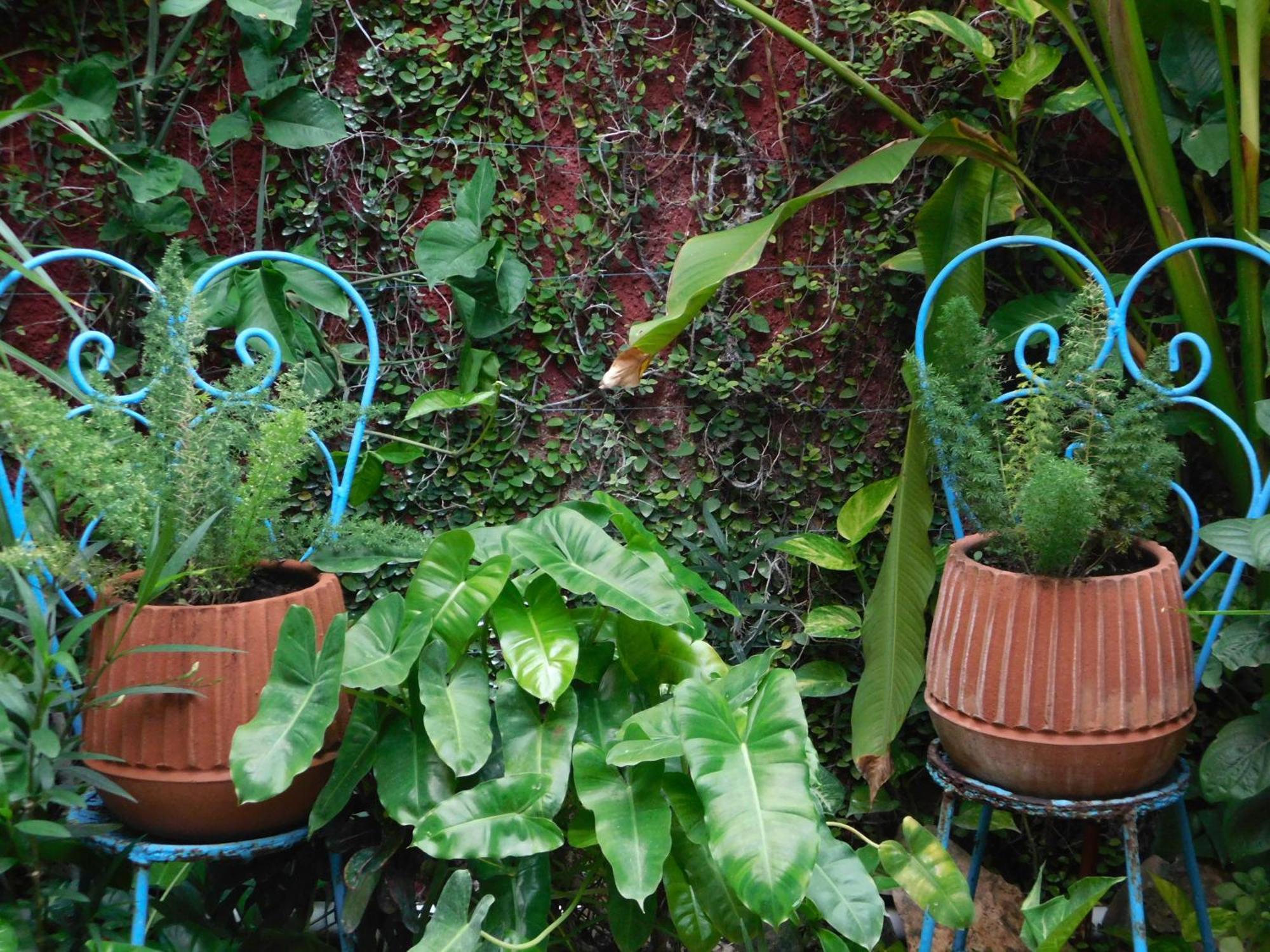Hotel Boutique Casa Flor De Mayo Merida Ngoại thất bức ảnh