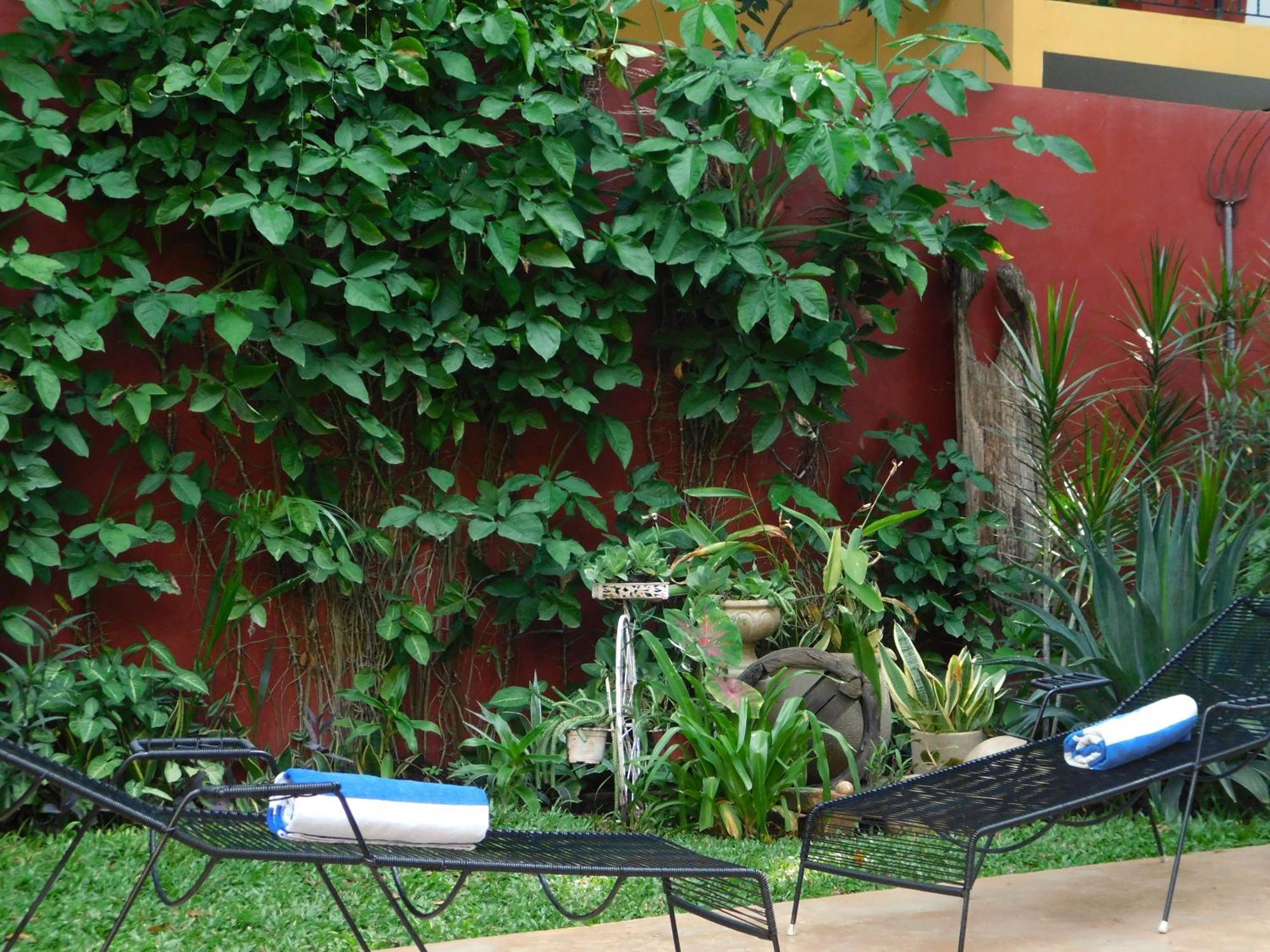 Hotel Boutique Casa Flor De Mayo Merida Ngoại thất bức ảnh